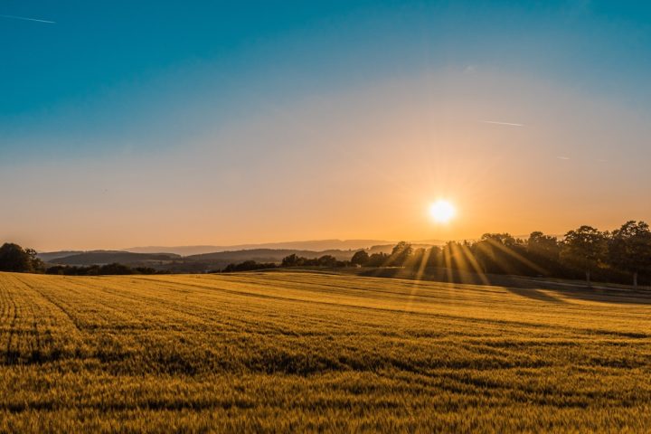 Farm ATV Buying Guide for UK Agriculture