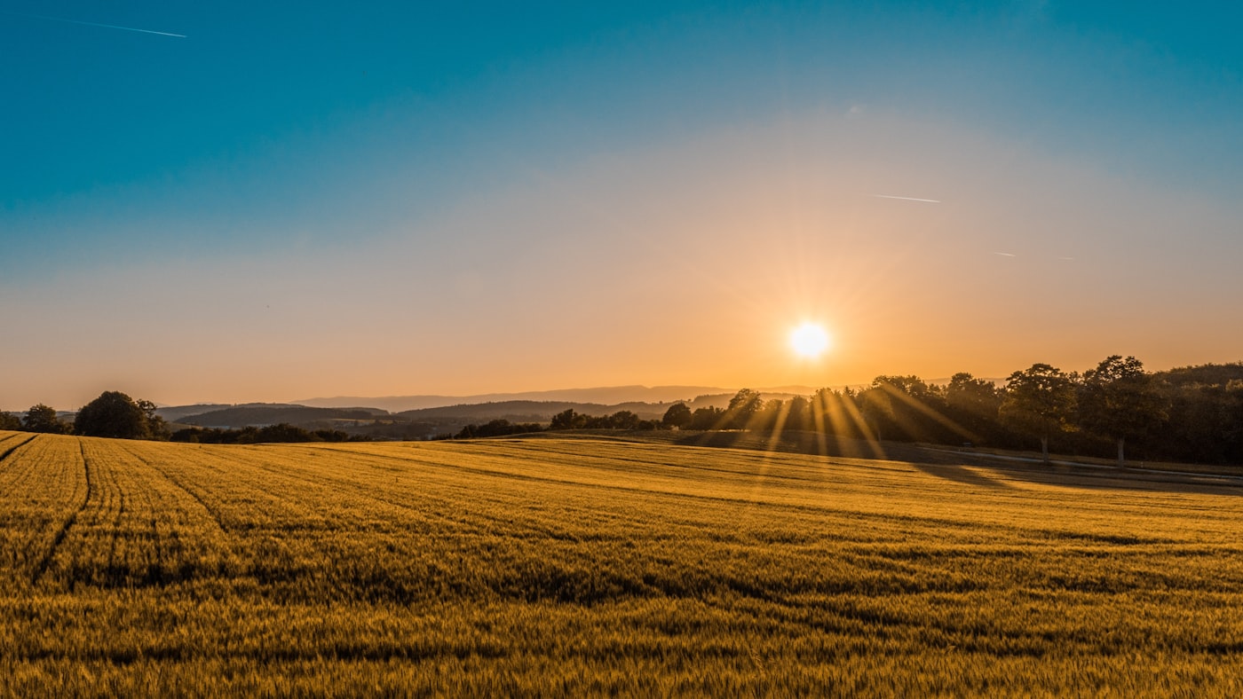Farm ATV Buying Guide for UK Agriculture